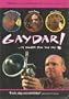 Gaydar