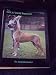 The Great Dane Reporter (Stud Issue, 3 March - April 1979)