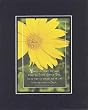 Y nosotros somos ese suave aroma que Cristo ofrece a Dios. Somos como un perfume que da via a los que creen en Crosto. 2 Corintios 2:15 . . . 8 x 10 Inches Verses In Spanish set in Double Beveled Matting - A Timeless and Priceless Poetry Keepsake Collection