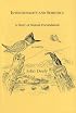 Intentionality and Semiotics: A Story of Mutual Fecundation (USP-Approaches to Postmodernity)