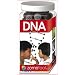 Zometool DNA