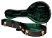 Golden Gate Deluxe Vintage Case for A-Model Mandolins (Hardshell, Black)
