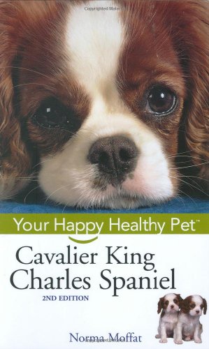 cavalier king charles spaniel