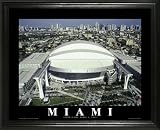 Miami Marlins - Marlins Park - Lg - Framed Poster Print