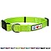Pawtitas Reflective Dog Collar Adjustable Dog Collars for Medium Dogs Puppy Collar Medium Dog Collar Green Dog Collar
