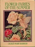 Flower fairies of the summer