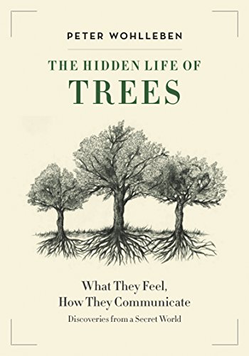 The Hidden Life of Trees: What They Feel, How They Communicate—Discoveries from a Secret World