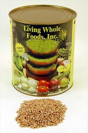 Organic Triticale Seeds - 5 Lbs - Seed In Resealable Can - Triticale Is A Grain Hybrid of... by Handy Pantry