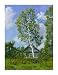 Birch Tree Near Dwelling - Ilya Yatsenko Art Print Poster 23.75 x