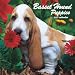 Basset Hound Puppies 2009 Wall Calendar 12 X 12