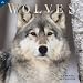 Wolves 2010 Wall Calendar