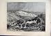 MOUNT OLIVES VALLEY JEHOSHAPHAT 1873 COUNTRY SCENE TREE