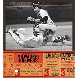 The Story of the Milwaukee Brewers (The Story of the...)