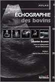 Echographie des bovins
