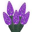 Set of 50 Commercial Grade Purple LED C6 Christmas Lights - Green Wire