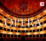 The Beauty of Opera - Anna Netrebko, Pl&aacute;cido Domingo, Rolando Villaz&oacute;n, Vittorio Grigolo, Luciano Pavarotti