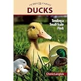 Ducks: Tending a Small-Scale Flock for Pleasure and Profit (Hobby Farms)