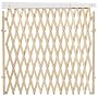 Evenflo Expansion Swing Gate