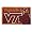Virginia Tech Hokies