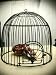 Caroline- Vintage Style French Bird Cage Metal Wire Cloche - French Country, Rustic, Victorian