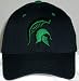 Michigan State Spartans Black One-Fit Hat