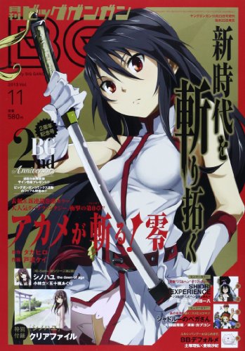 ビッグガンガン2013年 Vol.11 11/23号