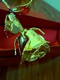 24K Gold Real Rose Gift Boxed + Luxury Teddy Bear