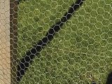 Review Netlon  / Netlon Galvanised.Wire Netting 600mmx25mmx10M