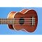 Haley's Ukuleles