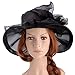 Vbiger Women's Summer Flat Large Wide Brim Gauze Kentucky Derby Sun Hat (Black)
