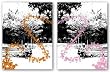 Butterflies Set by Miguel Paredes 11"x14" Art Print Poster Latin