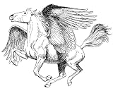 2.25 inch (58mm) Round Badge Style Fridge Magnet Line Drawing Pegasus