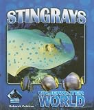 Stingrays (Underwater World)