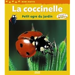 La coccinelle : Petit ogre du jardin