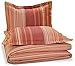 Amazon Brand – Pinzon Lightweight Cotton Flannel Duvet Set - Full/Queen, Orange Stripe