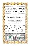 The Penny Stock Millionaire: Fortunes in Mini-Stocks [Paperback]