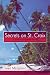 Secrets on St. Croix: A Woman's Mystery Novel by Joan Mallgrave