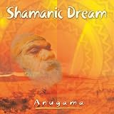 Shamanic Dream