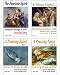 Search : Sign Song - The Complete Library Set - 4 ASL DVD's (American Sign Language Song Video Collection)