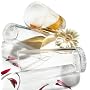 Pinzon Rumba Highball Glass, Set of 4