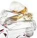 Kitchen & Housewares : Pinzon Rumba Highball Glass, Set of 4