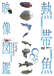 シンフォレストDVD 熱帯魚映像図鑑 バーチャル・アクアリウム 映像と音で愉しむ美しき熱帯魚の世界