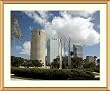 Tampa Skyline Photograph - Beautiful approx. 25"x29" Framed & Matted - 1 1/2" Antique Style Gold Frame - Photographic Print by Carol M. Highsmith