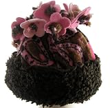 Brown Flower Swirl Flower top Hat
