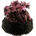Brown Flower Swirl Flower top Hat