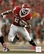 Ray Rice Rutgers Rushing 8x10 Photo