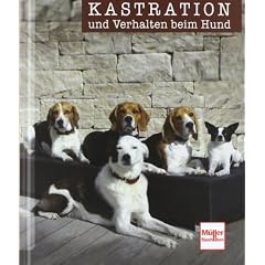 Kastration und Verhalten beim Hund