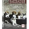 Kastration und Verhalten beim Hund