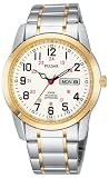 Pulsar Men's PJ6008 Dress Watch