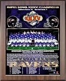 2000 Baltimore Ravens Super Bowl Championship Team Photo Plaque (you choose color & size)